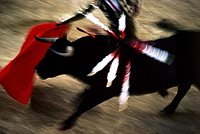 Spagna, corrida. 072.JPG