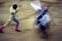 Spagna, corrida. 075.JPG