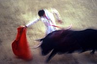 Spagna, corrida. 076.JPG