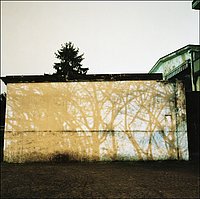 Cologno Monzese, viale Piemonte 01.jpg