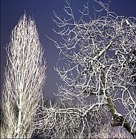 Milano, via Rizzoli .013.JPG