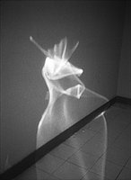 060.jpg
