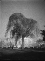 103.jpg