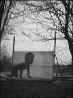 118.jpg