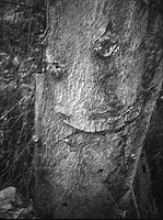 122.jpg