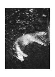 fantasma cane morto.jpg