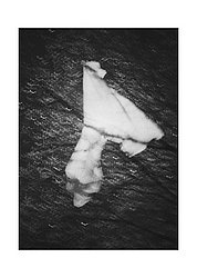 fantasma pipistrello piazza Sire Raul.jpg